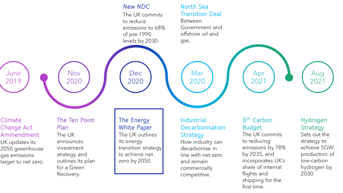 The Energy White Paper: Explainer